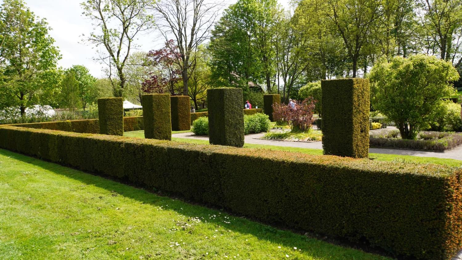 Protégé : Sortie du 1er mai 2024